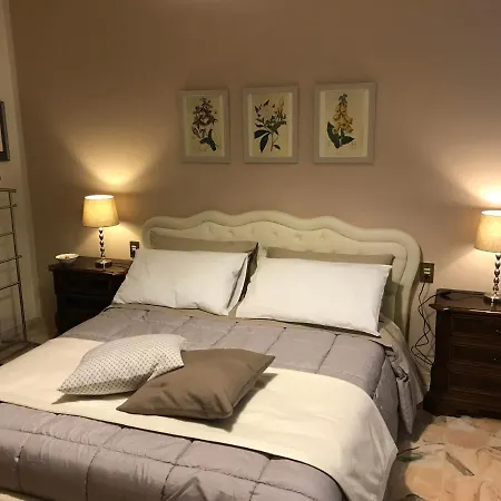 Magnolia Guest house *